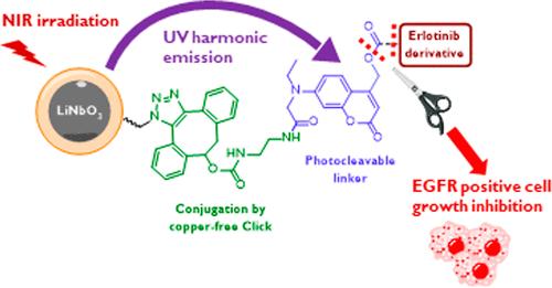 Photoresponsive Nanocarriers Based on Lithium Niobate Nanoparticles for Harmonic Imaging and On-Demand Release of Anticancer Chemotherapeutics