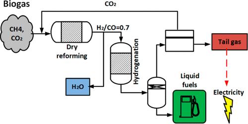 Techno-economic Analysis of Biogas Conversion to Liquid Hydrocarbon Fuels through Production of Lean-Hydrogen Syngas