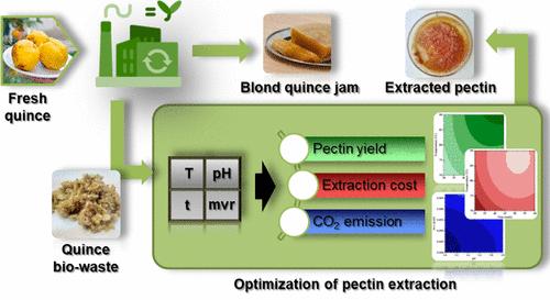 Multiobjective Optimization and Implementation of a Biorefinery Production Scheme for Sustainable Extraction of Pectin from Quince Biowaste