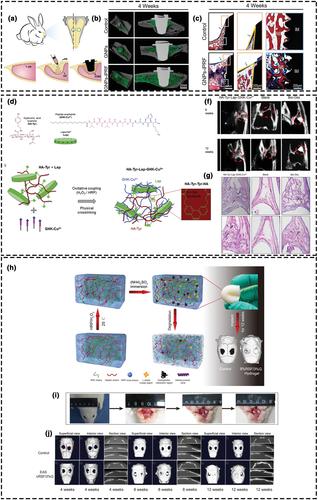 Natural polymer-based adhesive hydrogel for biomedical applications