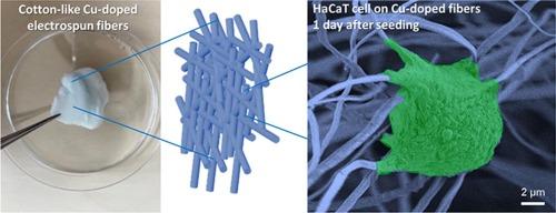 Copper-doped cotton-like malleable electrospun bioactive glass fibers for wound healing applications