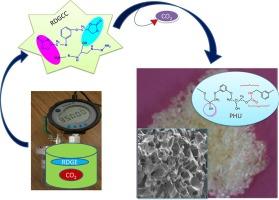 Self- blowing non-isocyanate polyurethane foam: Synthesis, characterization and properties