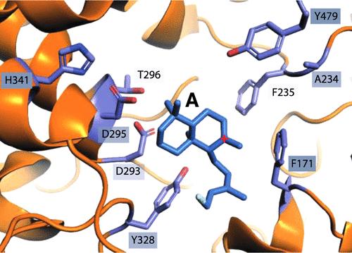 Investigation of Acid–Base Catalysis in Halimadienyl Diphosphate Synthase Involved in Mycobacterium tuberculosis Virulence