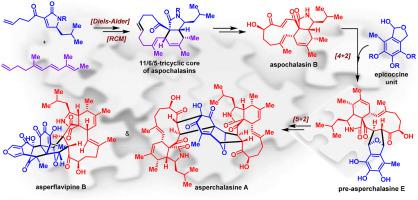 Collective total syntheses of cytochalasans and merocytochalasans