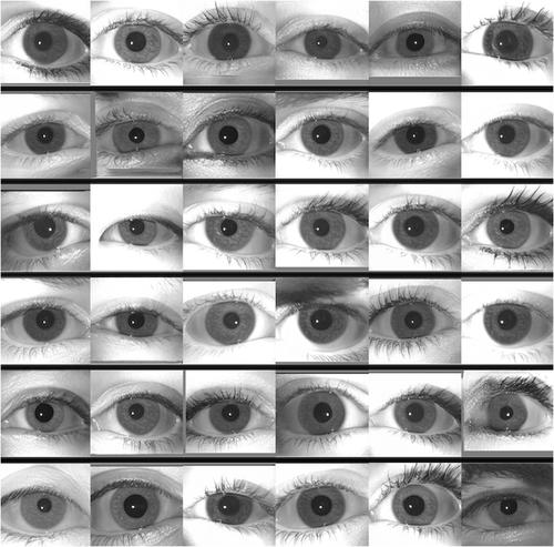 Analysis of the synthetic periocular iris images for robust Presentation Attacks Detection algorithms