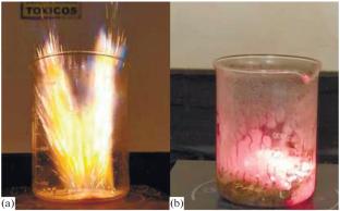 Effect of the Fuel in the Synthesis of NiO–YSZ by Solution Combustion Synthesis with Potential Application in Catalysis of Hydrogen