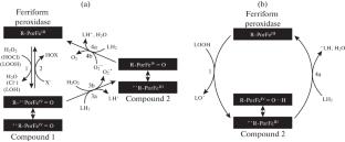 The Use of Quinolizidine Derivatives of Coumarin in the Studies of the Mechanisms of Action of the Cytochrome c–Cardiolipin Complex