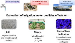 Effect of untreated or reclaimed wastewater drip-irrigation for lettuces and leeks on yield, soil and fecal indicators