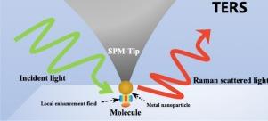 Tip-enhanced Raman spectroscopy