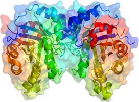 QSAR Applied to 4-Chloro-3-formylcoumarin Derivatives Targeting Human Thymidine Phosphorylase