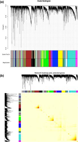 Identification of TNFAIP6 as a hub gene associated with the progression of glioblastoma by weighted gene co-expression network analysis