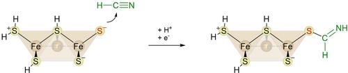 Mackinawite-Supported Reduction of C1 Substrates into Prebiotically Relevant Precursors