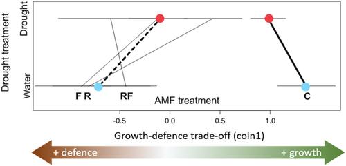 Arbuscular mycorrhizal fungi prevent the negative effect of drought and modulate the growth-defence trade-off in tomato plants