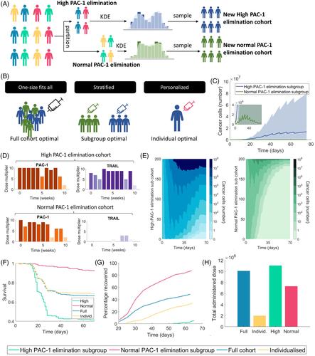 Establishing combination PAC-1 and TRAIL regimens for treating ovarian cancer based on patient-specific pharmacokinetic profiles using in silico clinical trials