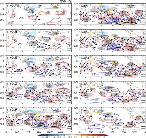 A new subseasonal atmospheric teleconnection bridging tropical deep convection over the western North Pacific and Antarctic weather