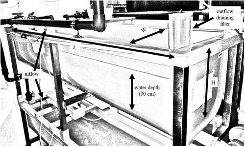 The effect of stocking density on sterlet Acipenser ruthenus (Linnaeus, 1758) larvae in the recirculating aquaculture system