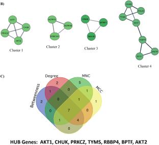 Network Biology Approaches to Uncover Therapeutic Targets Associated with Molecular Signaling Pathways from circRNA in Postoperative Cognitive Dysfunction Pathogenesis