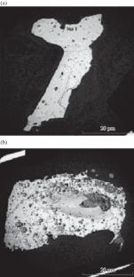 Models of Near Order of Tektites