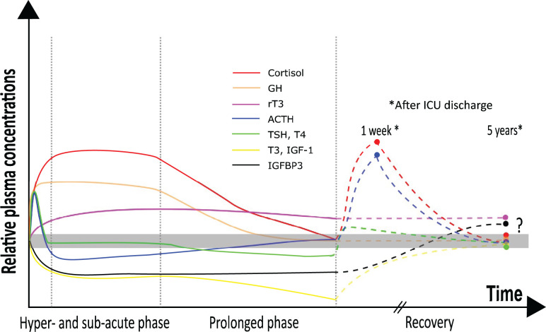 Correction: Novel insights in endocrine and metabolic pathways in sepsis and gaps for future research.