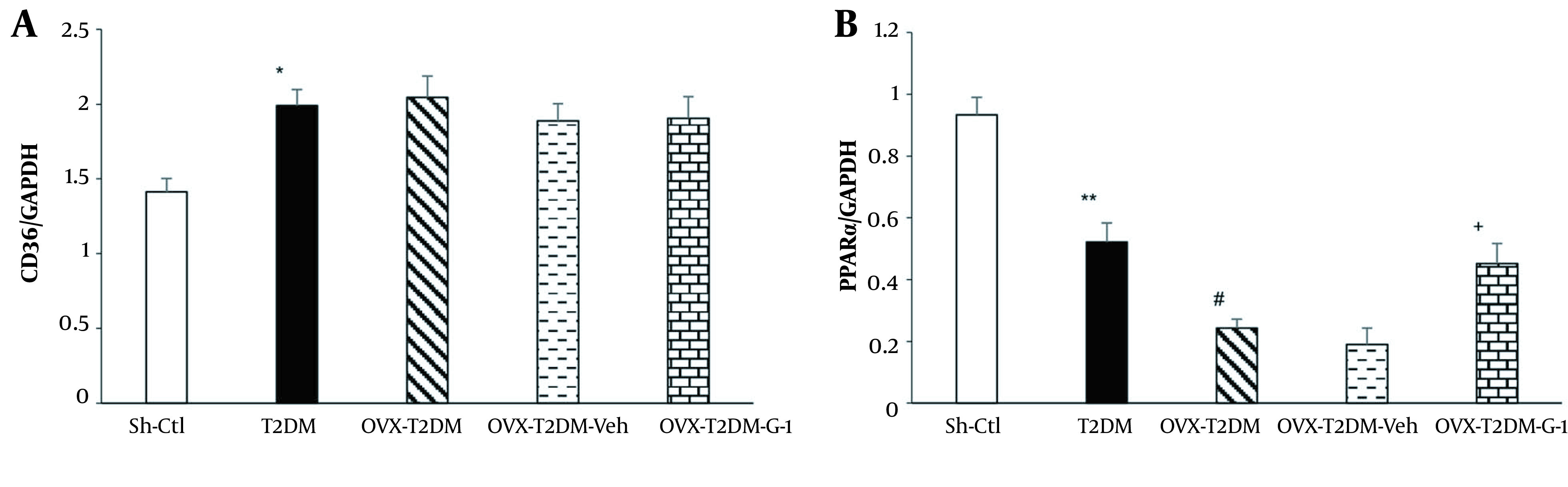 The G-Protein-Coupled Estrogen Receptor Agonist Prevents Cardiac Lipid Accumulation by Stimulating Cardiac Peroxisome Proliferator-Activated Receptor α: A Preclinical Study in Ovariectomized-Diabetic Rat Model.