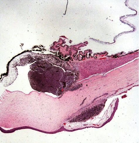 Abstract Image