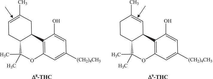 Examining impairment and kinetic patterns associated with recent use of hemp-derived Δ<sup>8</sup>-tetrahydrocannabinol: case studies.