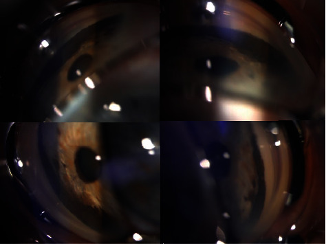 Abstract Image