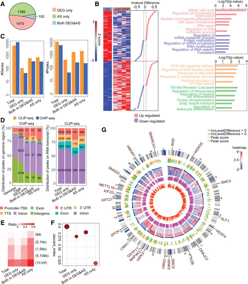 KHSRP combines transcriptional and posttranscriptional mechanisms to regulate monocytic differentiation.