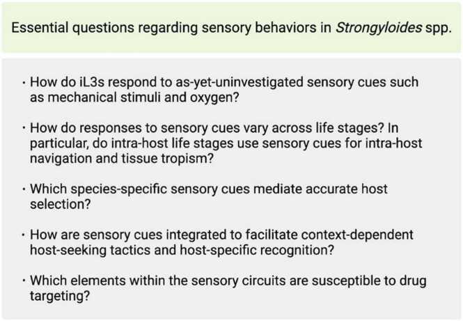 Using newly optimized genetic tools to probe Strongyloides sensory behaviors