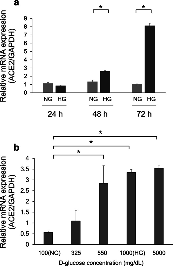 High D-glucose levels induce ACE2 expression via GLUT1 in human airway epithelial cell line Calu-3.