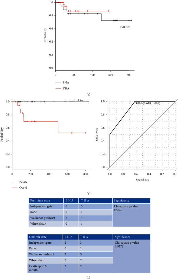 The Feasibility of Using the Direct Anterior Approach for Total Hip Arthroplasty or Bipolar Hemiarthroplasty to Treat Femoral Neck Fractures among the Elderly.