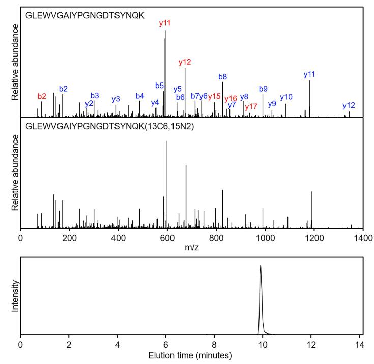 Ocrelizumab quantitation by liquid chromatography-tandem mass spectrometry