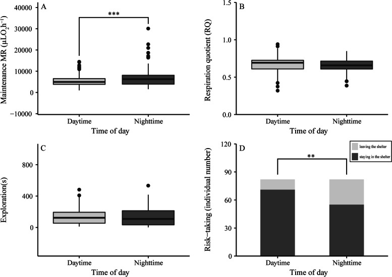 Light/dark phase influences intra-individual plasticity in maintenance metabolic rate and exploratory behavior independently in the Asiatic toad.