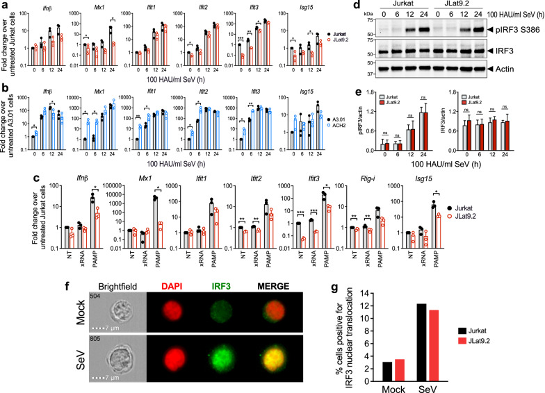 Innate immune regulation in HIV latency models.