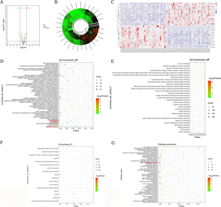 Arecoline promotes proliferation and migration of human HepG2 cells through activation of the PI3K/AKT/mTOR pathway.