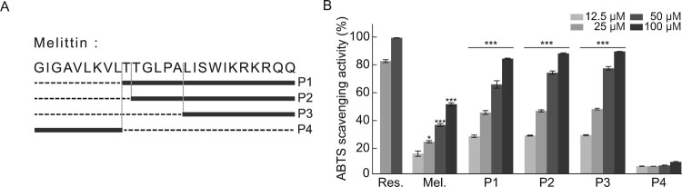 Melittin-derived peptides exhibit variations in cytotoxicity and antioxidant, anti-inflammatory and allergenic activities.