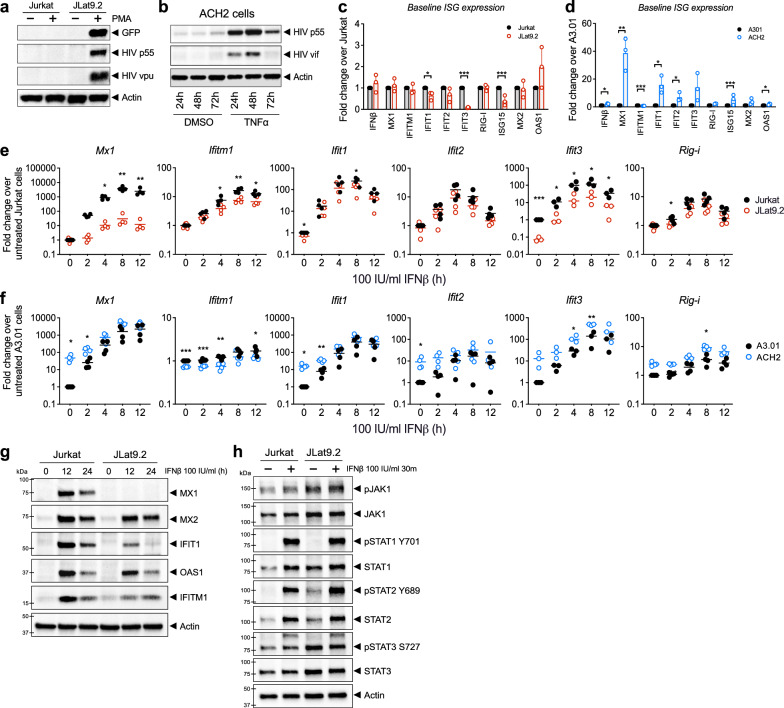 Innate immune regulation in HIV latency models.