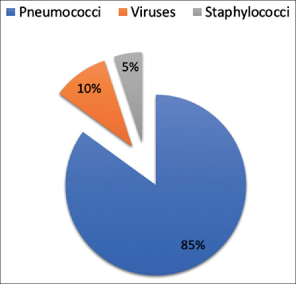 Fibrinolysis versus thoracoscopy: Comparison of results in empyema management in the child.