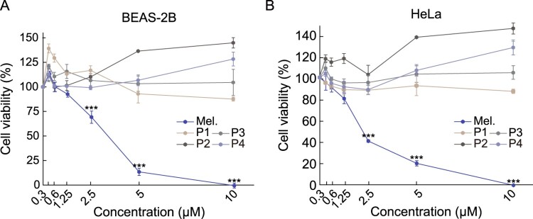 Melittin-derived peptides exhibit variations in cytotoxicity and antioxidant, anti-inflammatory and allergenic activities.