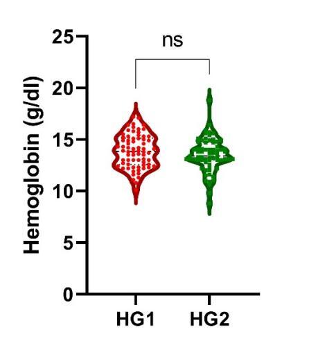 Metabolic Alterations in Acute Cerebral Ischemia.