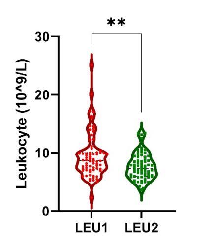 Metabolic Alterations in Acute Cerebral Ischemia.