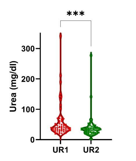 Metabolic Alterations in Acute Cerebral Ischemia.