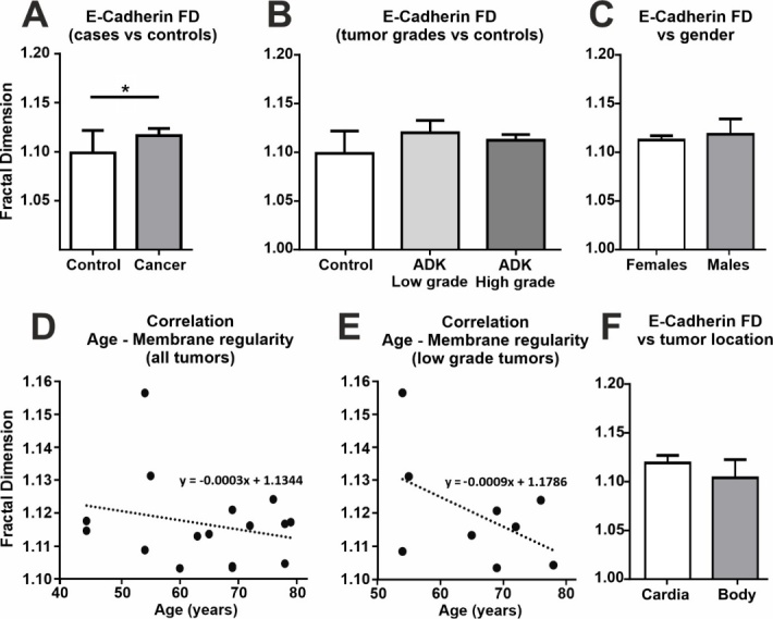 Subtle Immunoreactivity Differences in the Fractal Patterns of Membrane E-Cadherin in Gastric Adenocarcinoma.