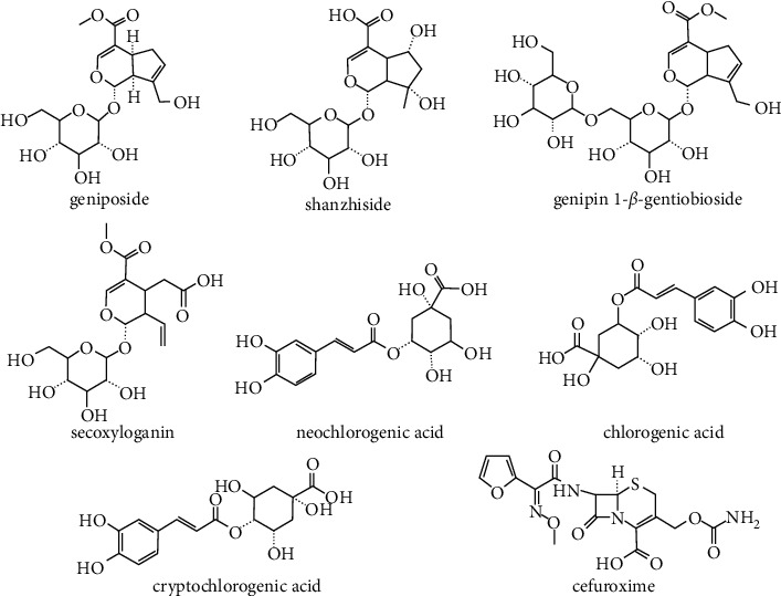 Pharmacokinetic Study of Coadministration with Cefuroxime Sodium for Injection Influencing ReDuNing Injection-Derived Seven Phytochemicals and Nine Metabolites in Rats.