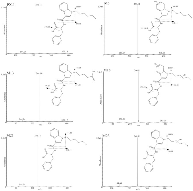 Phase I-metabolism studies of the synthetic cannabinoids PX-1 and PX-2 using three different in vitro models.