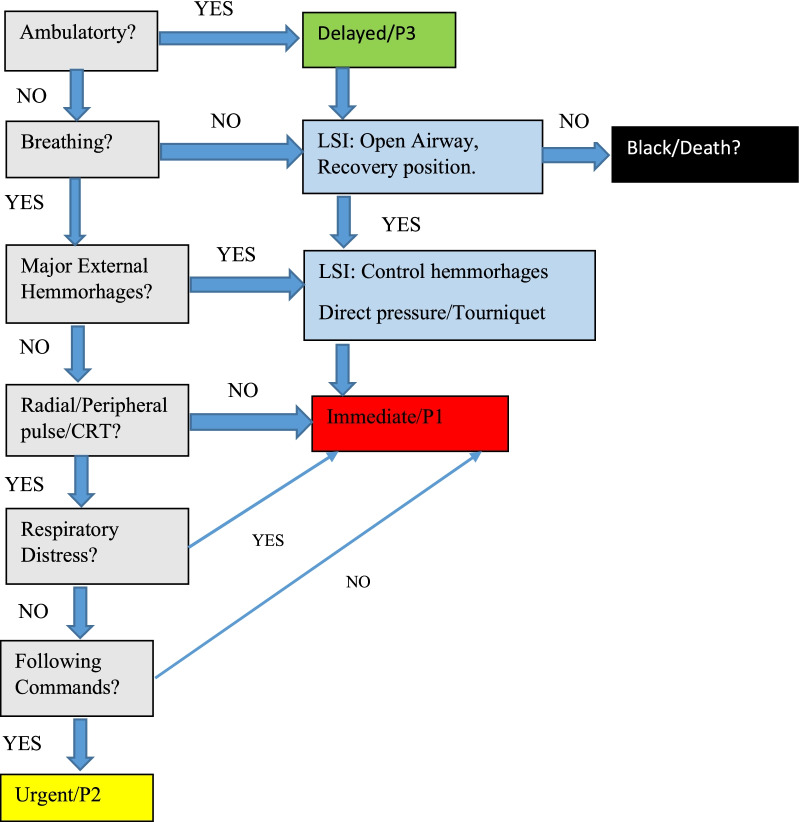Developing a translational triage research tool: part two-evaluating the tool through a Delphi study among experts.