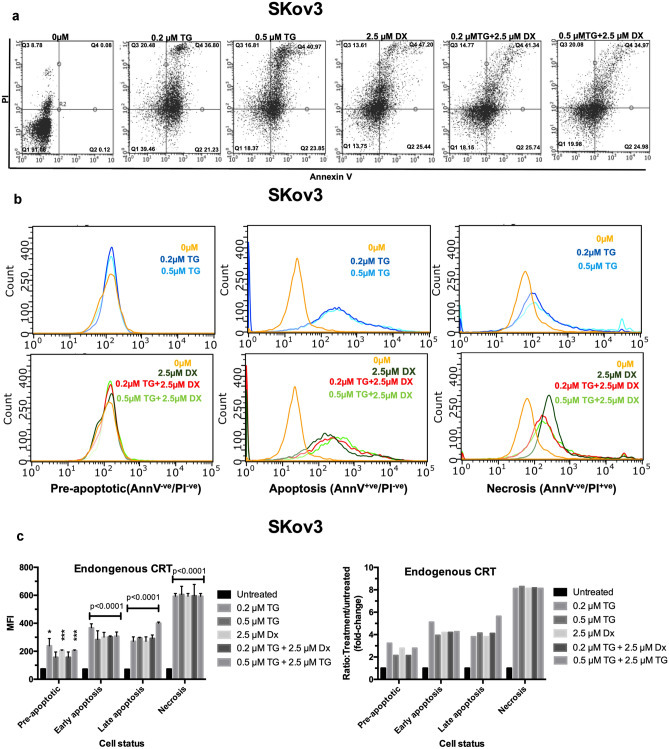 Endoplasmic reticulum stress-induced release and binding of calreticulin from human ovarian cancer cells.