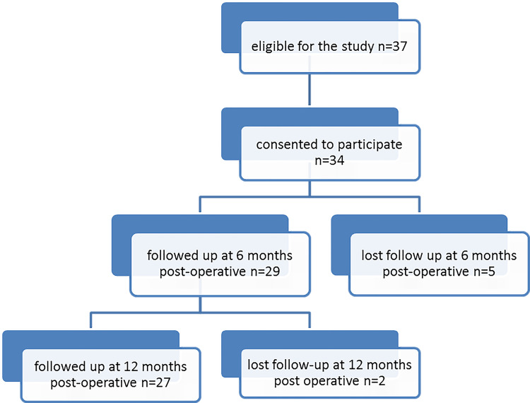 Psychiatric Disorders and Genotoxicity Following Primary Metal on Polyethylene Total Hip Arthroplasty and Their Correlation to Cobalt/Chromium Levels.