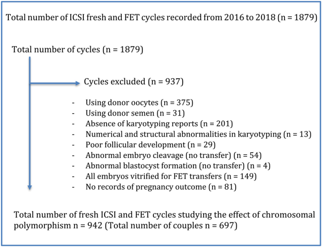 Chromosomal polymorphisms in assisted reproduction: an analysis of 942 cycles.