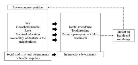 Number of dentists in the neighborhood and incidence of dental caries in the children permanent dentition.